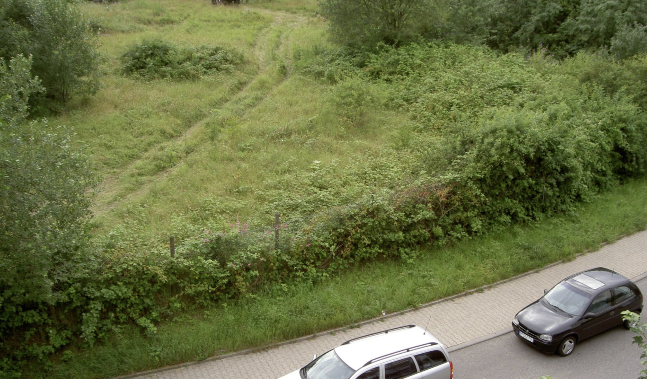 Verwildertes Fahrländer Gelände in Maihälden 2006 - mit Spuren von Fahrzeugen
